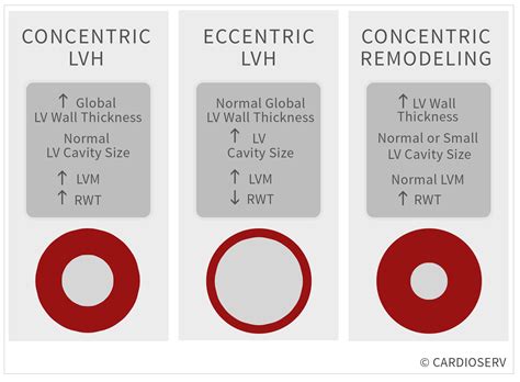 lv home remodeling|concentric remodeling vs hypertrophy.